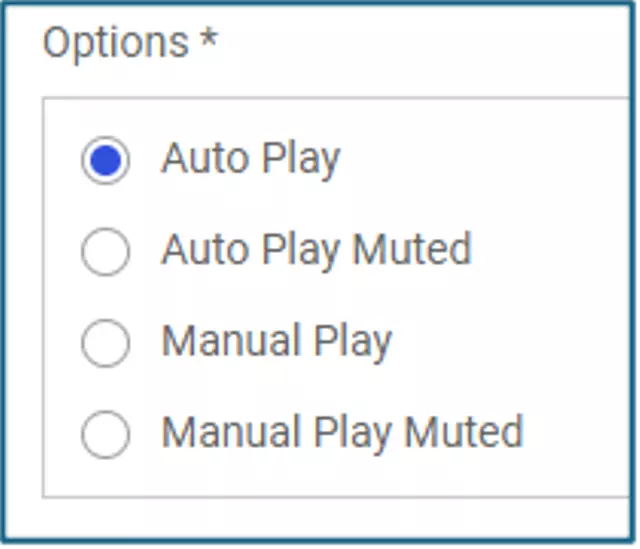 Video Play Options